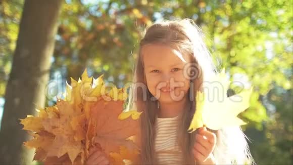 秋天公园里小女孩坐在地上一边收集黄叶视频的预览图