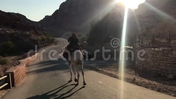 贝都因人骑着骆驼在柏油路上顶着太阳视频的预览图