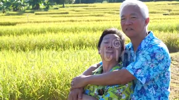 视频亚洲资深情侣在稻田前拥抱早晨的太阳旅行视频的预览图