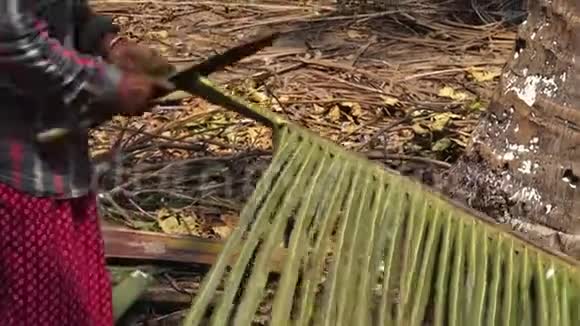 男人割一片棕榈叶视频的预览图