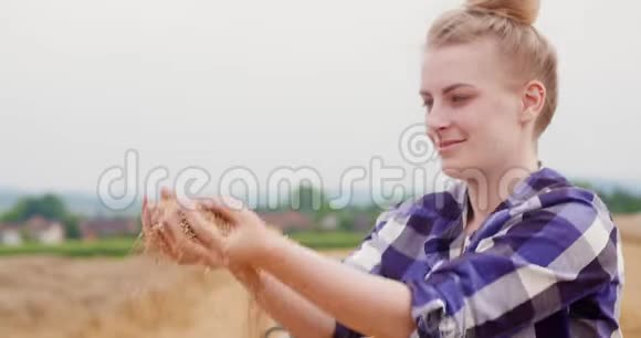 年轻的女农民在检查麦粒视频的预览图