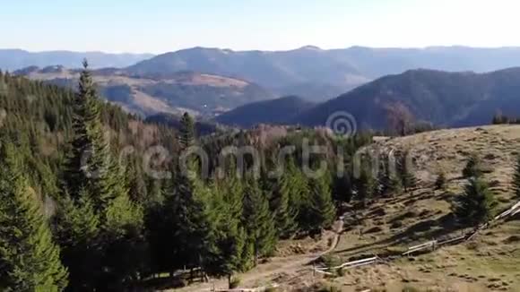 在喀尔巴阡山脉的森林和山脉上从雄蜂俯瞰视频的预览图