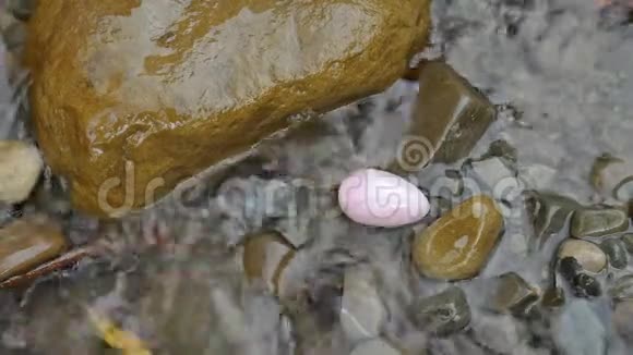 玫瑰石英水晶玉蛋躺在山上的石头上河里的水妇女健康与自然团结视频的预览图