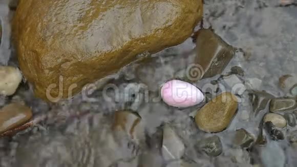 玫瑰石英水晶玉蛋躺在山上的石头上河里的水妇女健康与自然团结视频的预览图