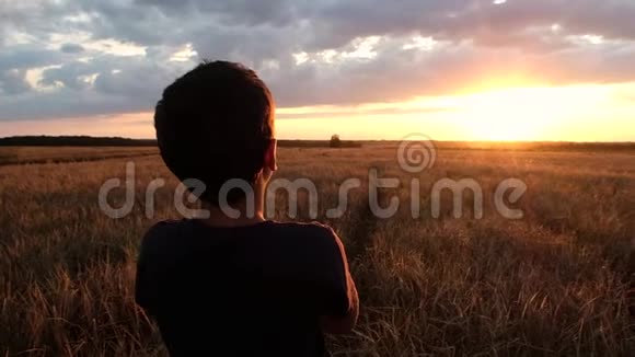 男孩站在一片麦田上看着美丽的夏日日落视频的预览图