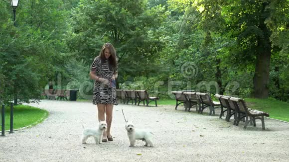穿裙子的女模特在公园里和一对白色的小狗散步静态射击视频的预览图
