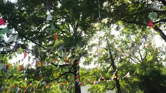 彩旗挂在树枝上作为户外聚会的节日装饰明媚的夏日阳光洒在绿茵丛中视频的预览图
