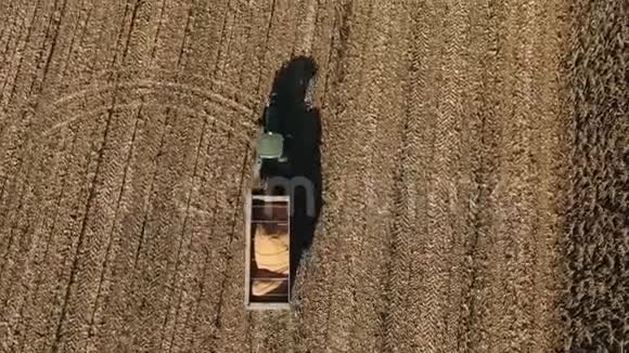 农业和农业秋田黄树和农机收获田间劳动集体农场视频的预览图