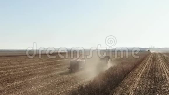 在大玉米地工作的组合和拖拉机玉米地上的收割机农场工人在地里干活视频的预览图