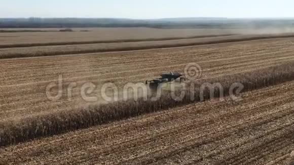 自动驾驶技术电动组合联合在大玉米地工作玉米收割机视频的预览图