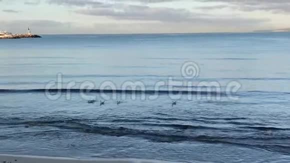 这是早晨美丽的海滩视频的预览图