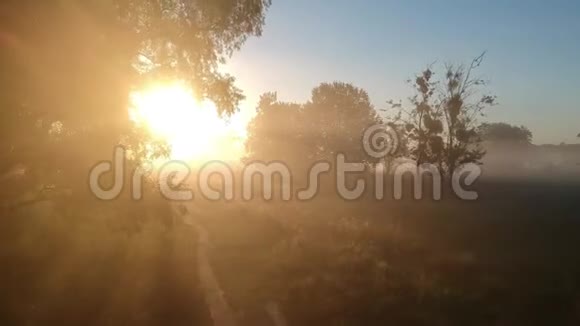 雾蒙蒙的早晨的魔力夏天视频的预览图