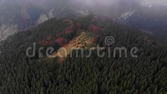 在喀尔巴阡山的雾中从无人机到峡谷秋天的森林河流和村庄的景色视频的预览图