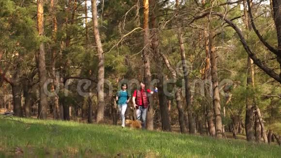 一家人和狗在树林里旅行幸福的夫妇和奥巴克一起穿过树林旅行者爸爸女儿宠物视频的预览图