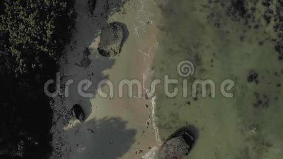 PhuQuoc岛森林和沙滩4K无人机射击视频的预览图