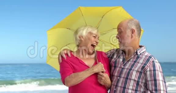 年长夫妇拿着雨伞视频的预览图