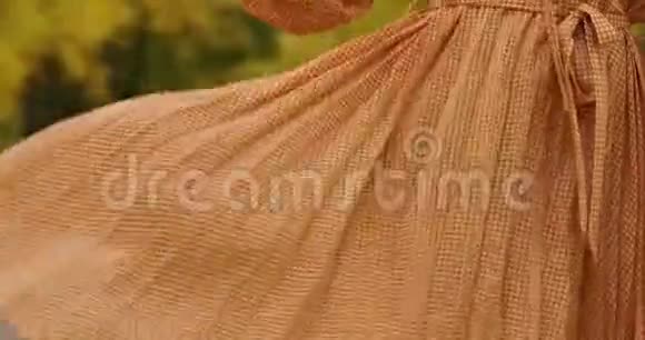 一件芥菜连衣裙的特写乌鸦的脚印掉了下来镜头跟随着白种人的女性腿视频的预览图