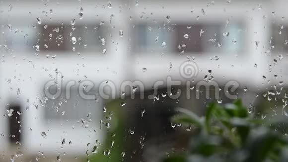 雨滴的时间流逝灰色背景下的液滴纹理视频的预览图