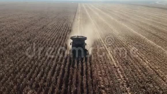 联合收割机收割玉米玉米收获剪在野外联合收割机食品工业概念视频的预览图