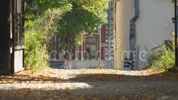 在旧房子的背景下人行道上有黄色的叶子从网关查看视频的预览图