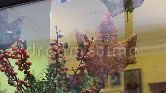 秋季橱窗花店浪漫设计视频的预览图