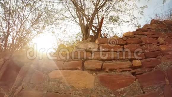 花栗鼠坐在古老的砖墙上阳光照在相机里干燥的树上视频的预览图