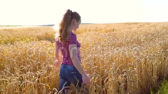 晚上女人带着小麦穿过田野视频的预览图
