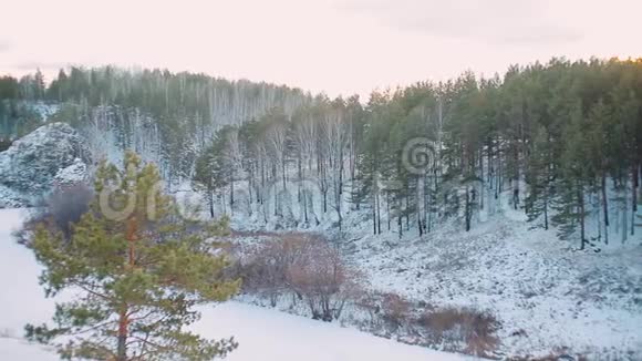 冬天的采石场长满了树木视频的预览图