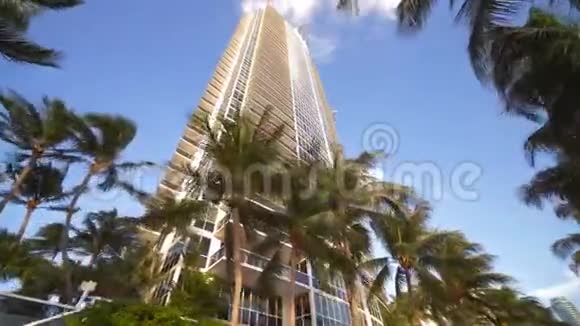 迈阿密的建筑和棕榈树向上的外观视频的预览图