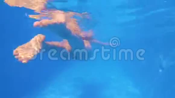 那个穿着一件红色泳衣的女孩在水下游泳水下射击一个留着长发的女孩潜水一个好女孩视频的预览图