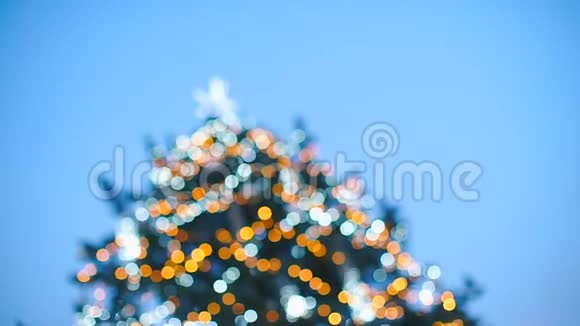 圣诞树的效果相机动作平稳视频的预览图