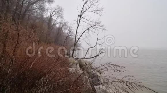秋天的风景江边晨雾视频的预览图