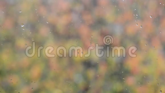 雨后温暖天气下彩色秋叶背景模糊的窗玻璃上的水滴特写全高清视频的预览图