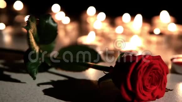 浪漫氛围蜡烛配玫瑰视频的预览图