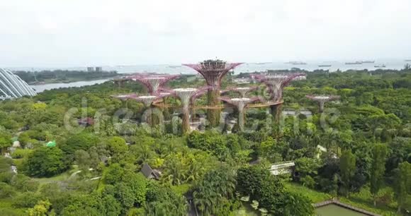 由无人驾驶飞机向大桥新加坡湾旁的花园拍摄的SupertreeGrove空中镜头视频的预览图