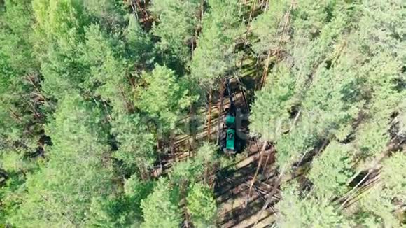 树林被收割机砍倒的景色砍伐森林森林砍伐的概念视频的预览图