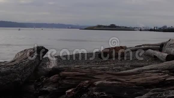 漂流木和码头在短期视频的预览图