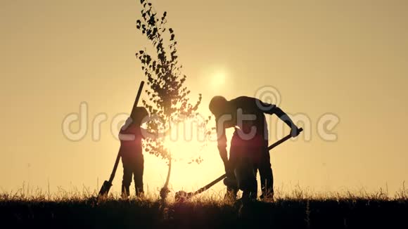 农民的幸福家庭一位父亲和两个孩子在日落时在公园里种树和浇水的剪影视频的预览图