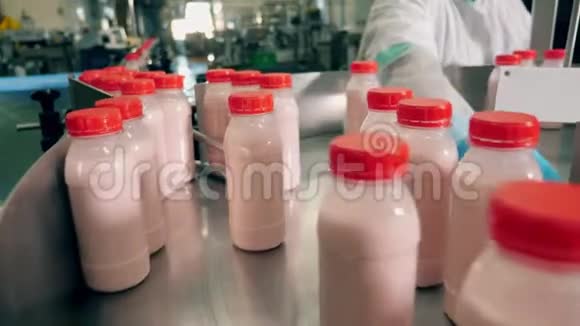 工厂工人正在分拣牛奶产品的瓶子视频的预览图
