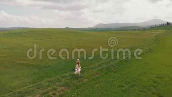 两个年轻迷人的女人正沿着绿色的草地散步无人机离开他们意大利托斯卡纳视频的预览图