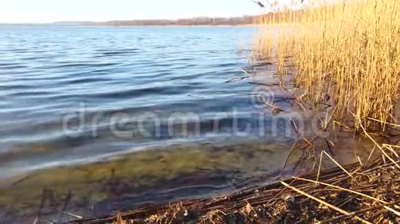 水溅到湖岸上视频的预览图