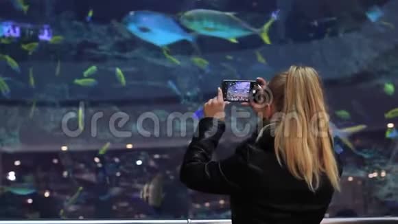 女人在智能手机上的大型水族馆里拍摄奇异的鱼视频的预览图