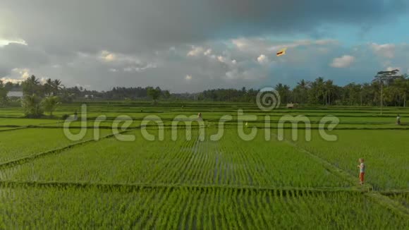一个小男孩带着风筝穿过美丽的大稻田的航拍镜头亚洲概念旅行视频的预览图