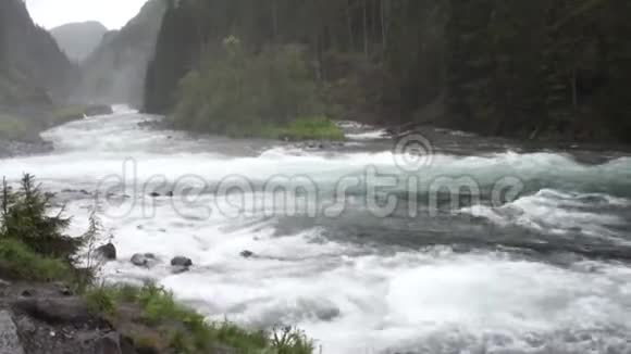 春天有一条强大的河流视频的预览图