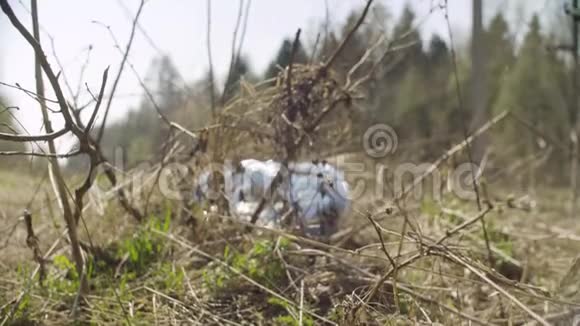 垃圾袋躺在森林里视频的预览图