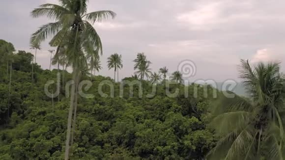 泰国棕榈树和岩石海滩视频的预览图