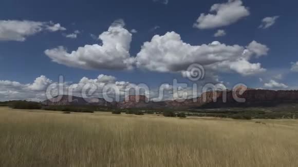 棕色草地和蓬松白云的时光流逝视频视频的预览图