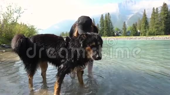 女人在湖边洗她的狗视频的预览图