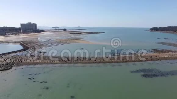 鸟瞰穆昌坡海滩博里昂崇南韩国亚洲视频的预览图