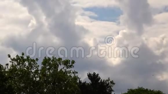 天上软绵绵的云和树视频的预览图